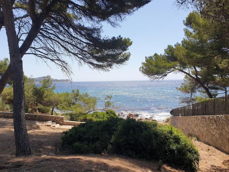 Les Geraniums, Bel Appartement Renove, Proche Plage Et Commerces La Seyne-sur-Mer Exterior photo